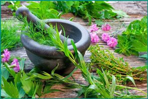 Herbes médicinales pour restaurer la puissance masculine.