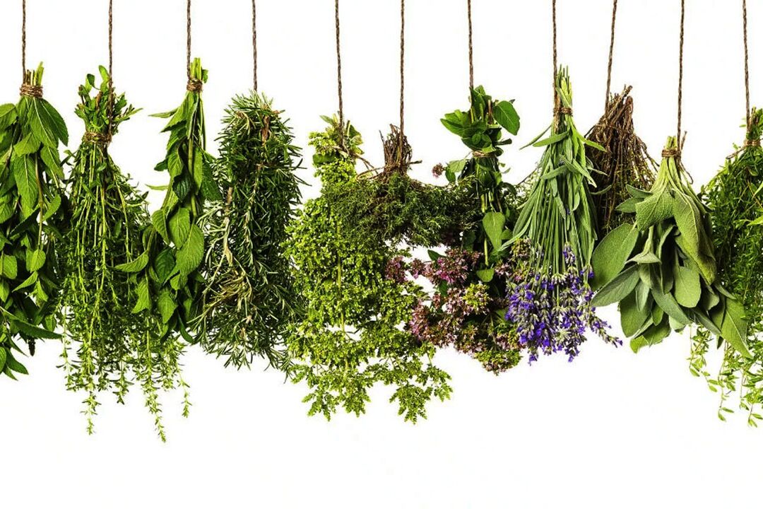 extrait d'herbe tropicale en Eroboost